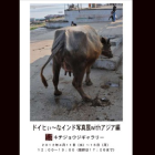 ドイヒぃ～なインド写真展withアジア編