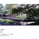 平野恵写真展「日々の泡」