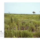 冨永 晋  写真展『three years after』