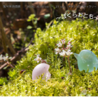 〜ぼくらおとも〜加々美萌個展
