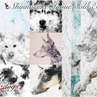 Shinnosuke Inoue Solo Exhibition 「Life with dogs」